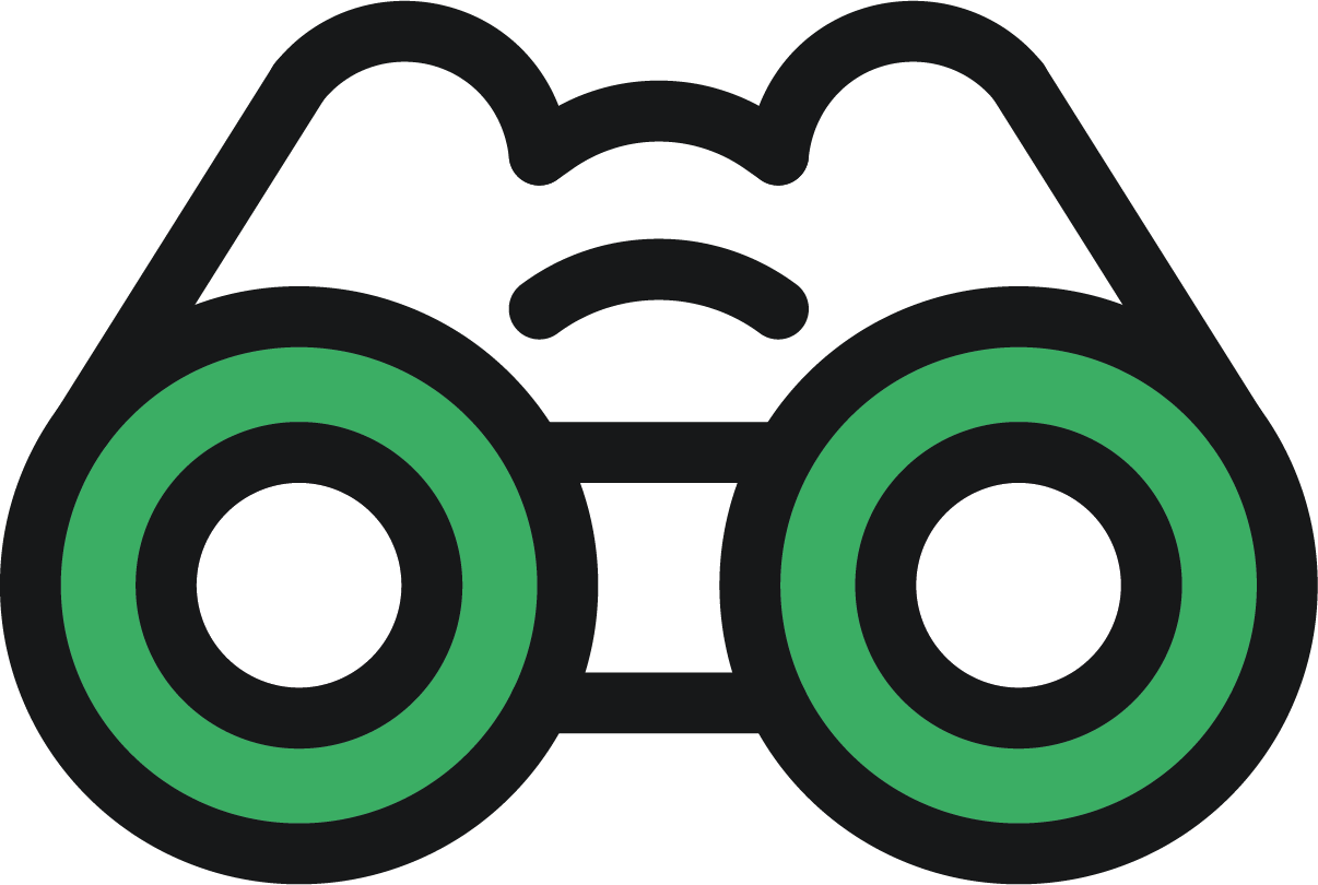 vision